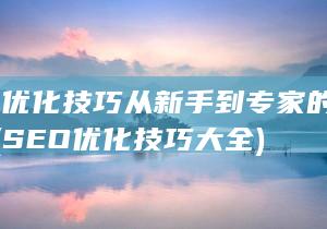 SEO优化技巧 从新手到专家的进阶之路 (SEO优化技巧大全)