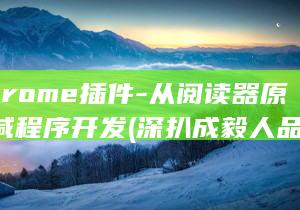 深扒Chrome插件-从阅读器原理到裁减程序开发 (深扒成毅人品特别差)