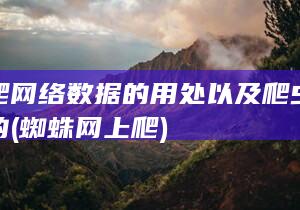 蜘蛛爬网络数据的用处以及爬虫的主要目的 (蜘蛛网上爬)