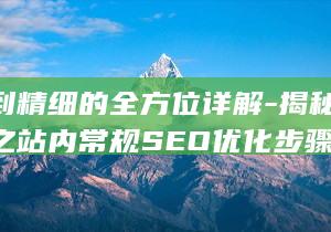 从基础到精细的全方位详解-揭秘网站优化之站内常规SEO优化步骤 (从基础到精细的成语)